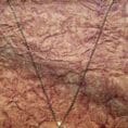 Grace Bowfall Anti Tarnish Necklace